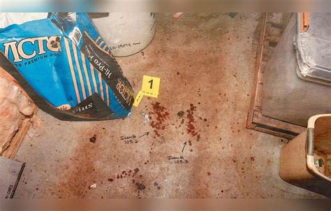 leaked murdaugh crime scene photos|Murdaugh Trial: Photos Show Scene Of Killings